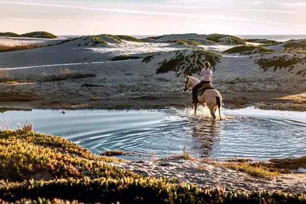 Person horseback riding in a river