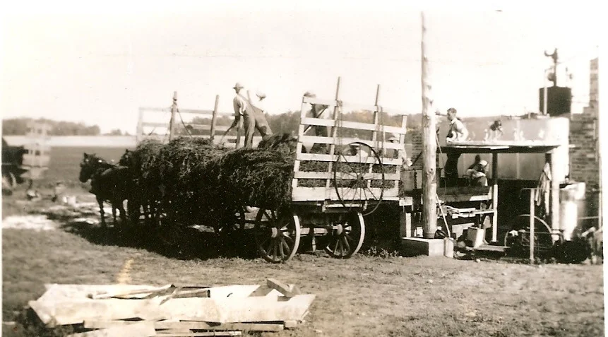 Mint being hoisted into a wagon by hand